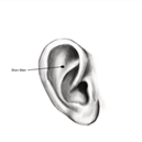 ear shen men