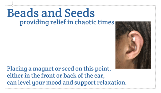 Screen Shot 2019-04-05 at 9.22.49 PM