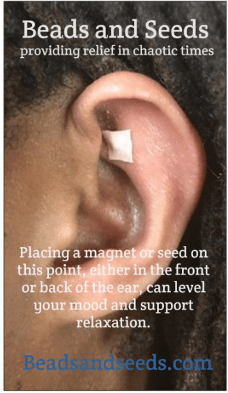 Screen Shot 2019-04-18 at 9.00.31 PM