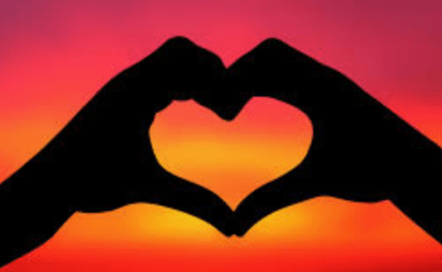 Screen Shot 2020-04-29 at 2.28.42 PM